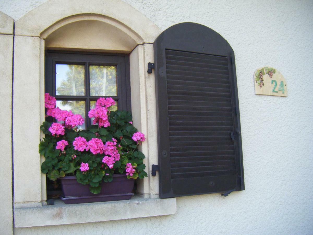 Bed and Breakfast Les Lutins Sainte-Ruffine Esterno foto