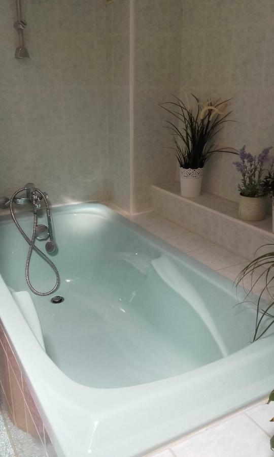 Bed and Breakfast Les Lutins Sainte-Ruffine Esterno foto